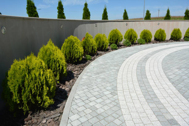 Best Driveway Repair Near Me  in Lowry Crossing, TX
